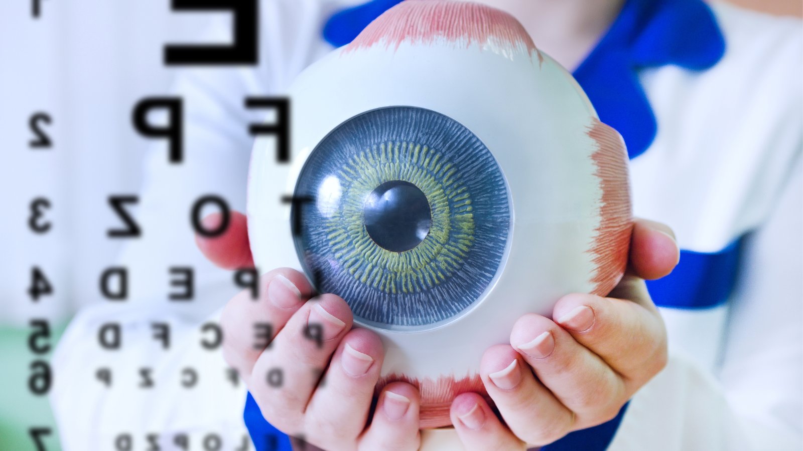Глаз офтальмология